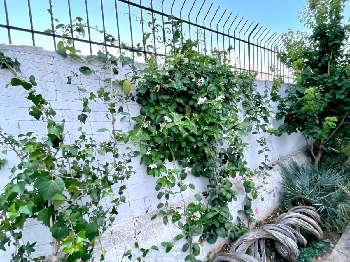 איביזה העיר Villa Sa Torre מראה חיצוני תמונה